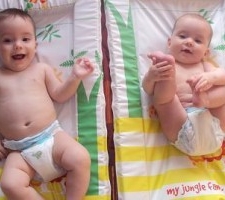 fabulous-flesh-300x200