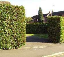 neighborhood-inspiration