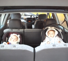 the-farewell-committee