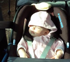 yanked-from-a-nap-for-park-fun