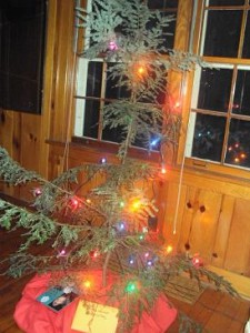 Charlie Brown Tree Charlie Brown Tree