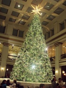 Fields Tree Fields Tree