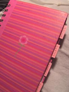 Pink Book 00