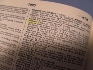 Websters widow 2 Websters widow 2