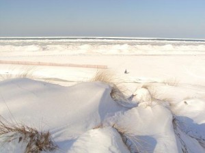 Icy beach mounds with Jack
