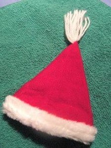 Santa hat