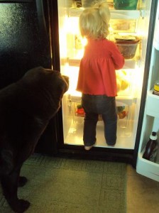 Sky and Jack at frige