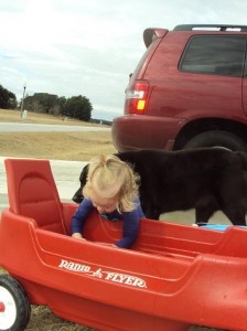 Skylar washing wagon