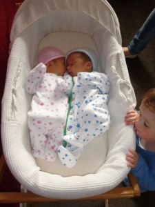 Twins in Moses basket