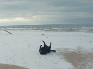 Jack does the happy dance.