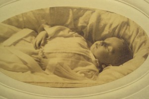 William Fredrik Johnson