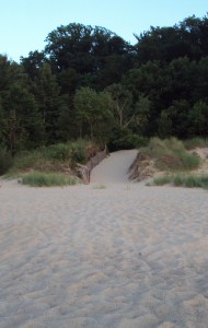 Beach dune
