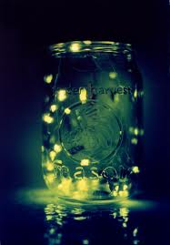 Fireflies in a jar