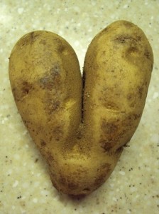 Loving Potato