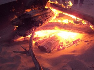 Driftwood fire
