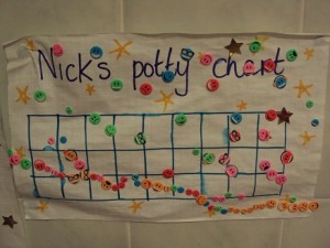 Nick's potty chart