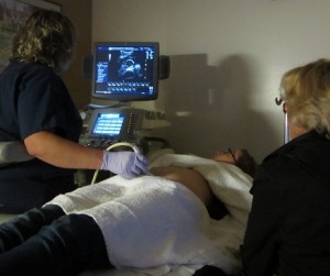 Ultrasound day