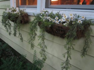 Window Boxes