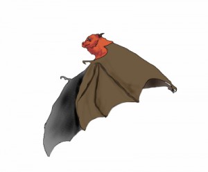 A bat