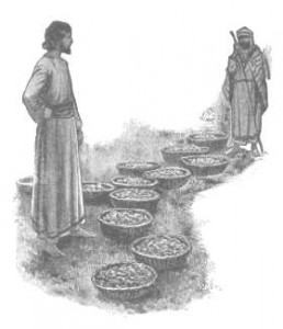 12 baskets of leftovers