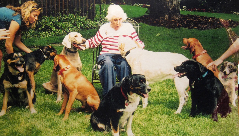 Mom and her 9 grand-dogs