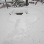 Linda's snow angel