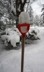 ???????????????????????????????