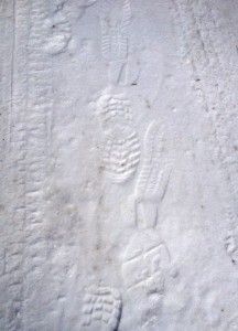 Footprints