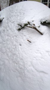 ???????????????????????????????