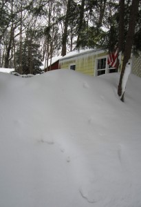 ???????????????????????????????