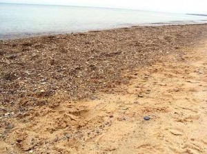 ???????????????????????????????