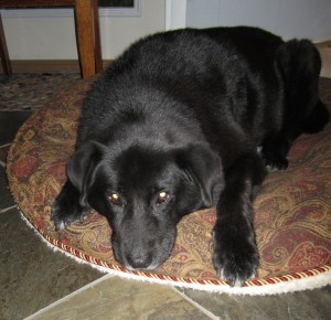 ???????????????????????????????