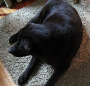 ???????????????????????????????