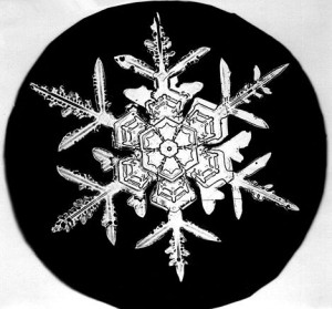 Snowflake sample