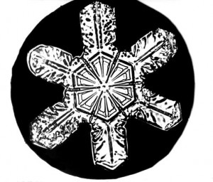 Snowflake sample.