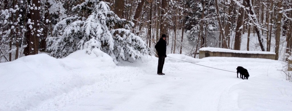 Snowy walk, Jack and Nelson