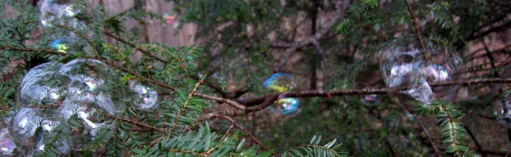 Evergreen bubbles..