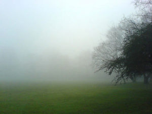 morning-fog