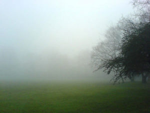 morning-fog