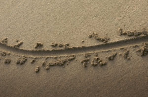 line-in-the-sand