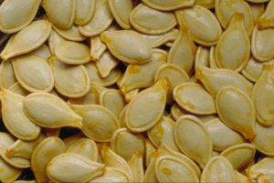 pumpkin seeds